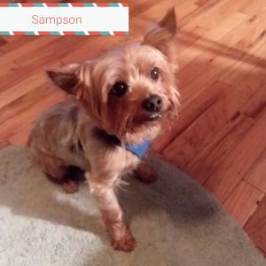 Meet your Posher, Evelyn